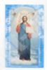 Icon of Jesus Christ the Savior of the growth in hard lamination 5x8 with a turnover of