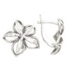 Earrings silver 46738