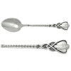 The silver spoon children's